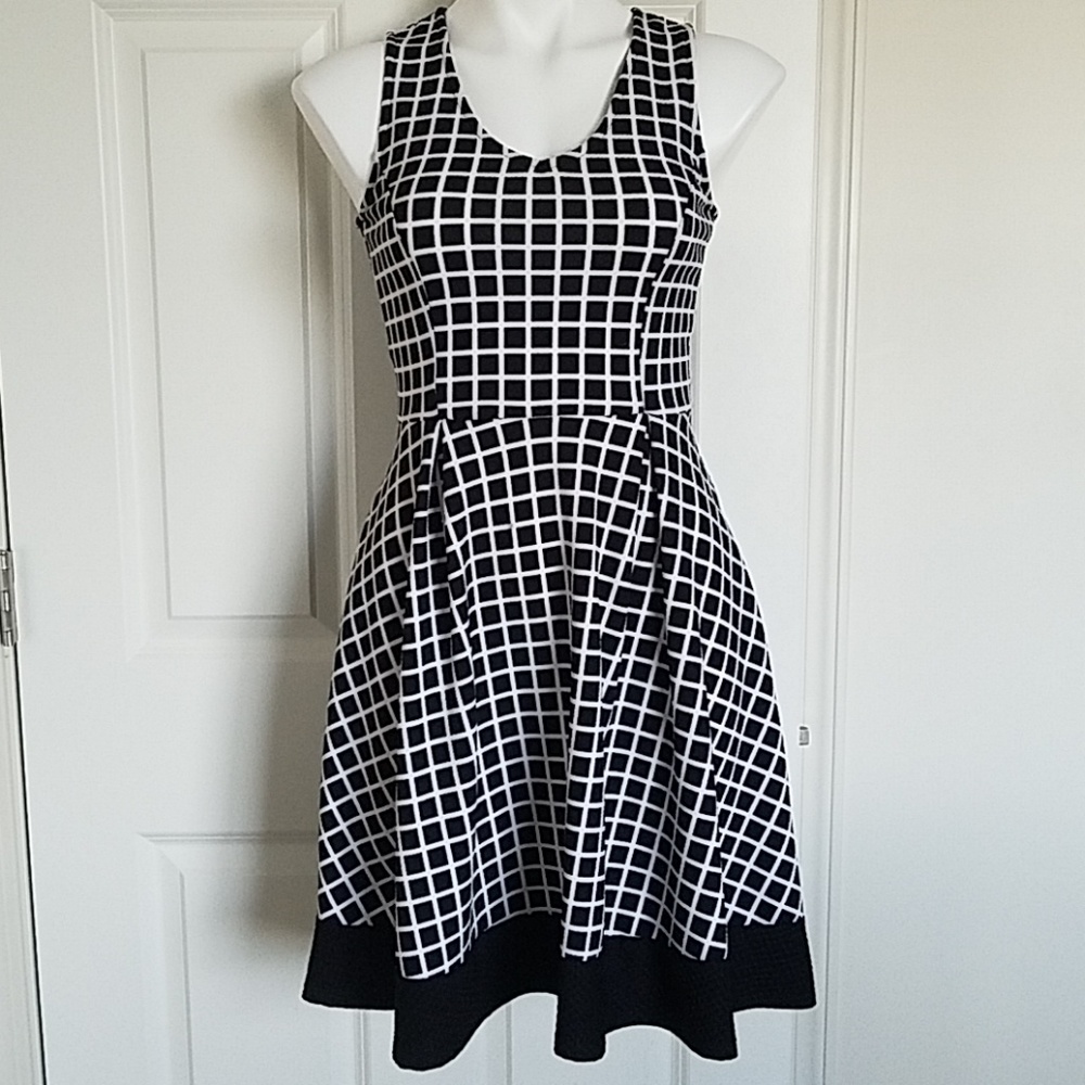 Papermoon Stitch Fix Fit and Flare Dress